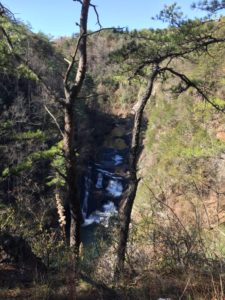 Georgia mountain stream